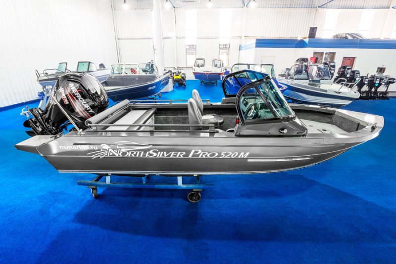 NORTHSILVER 520 Fish
