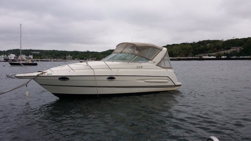 Maxum 33