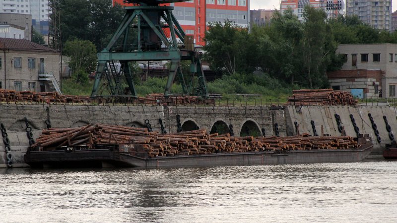Болотная баржа