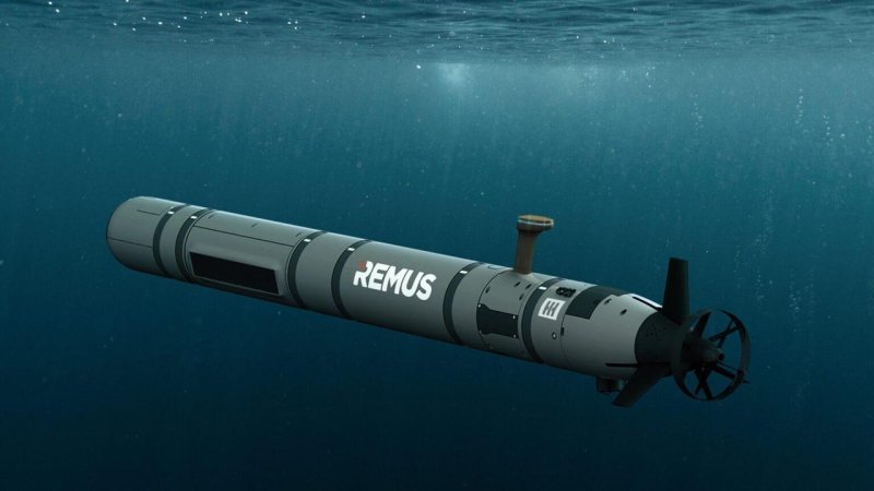 Беспилотники Remus 100