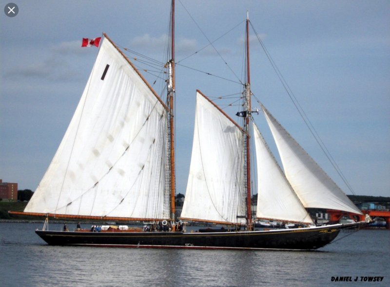 Bluenose крейсерская яхта