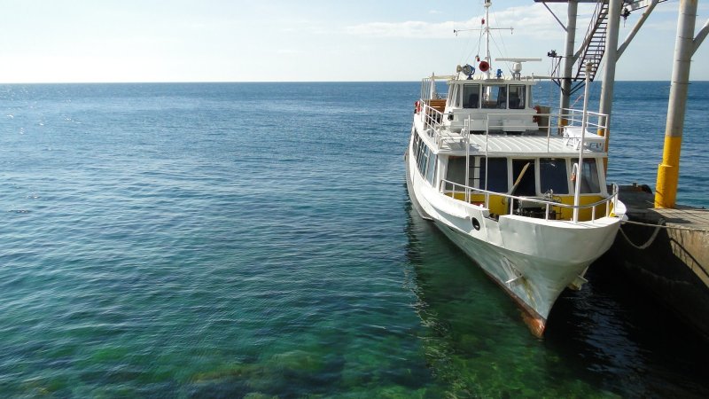 Теплоход Крым морские прогулки Ялта
