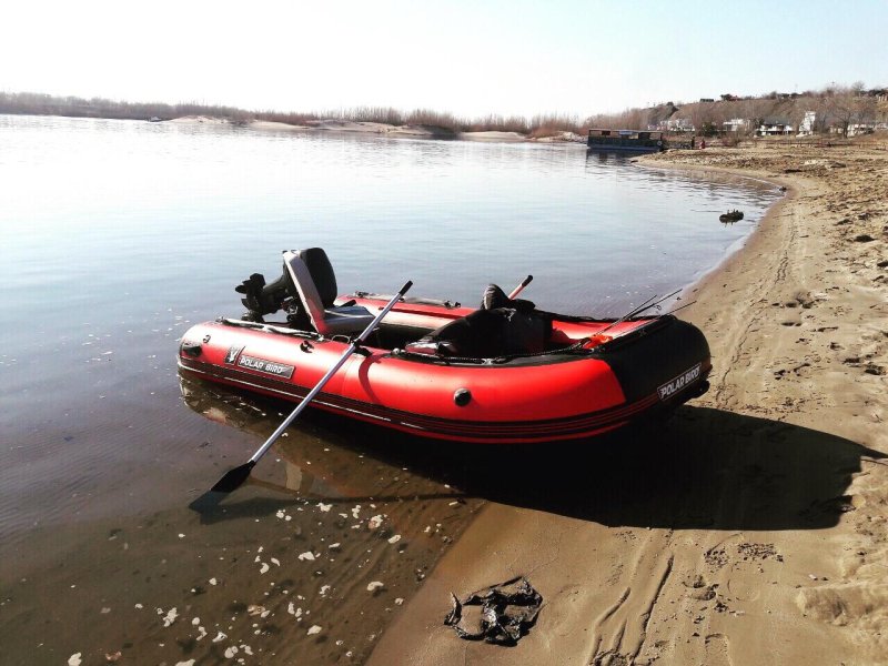 Polar Bird 360m