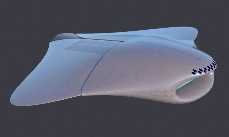 Nautilus 100 Скат лодка
