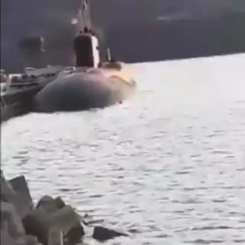 Застрелили медведя подводная лодка