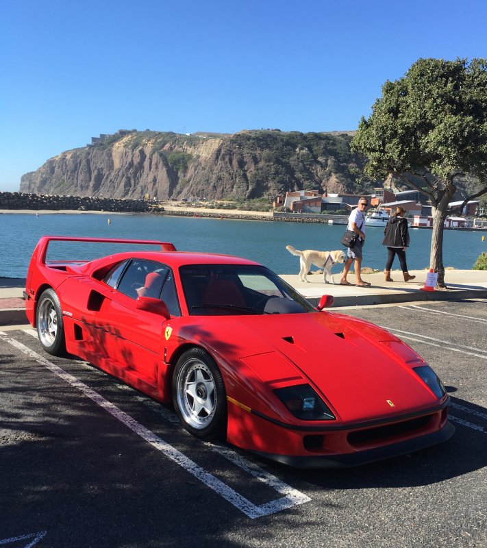 Ferrari f40 2016