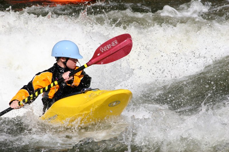 Wave Sport fuse