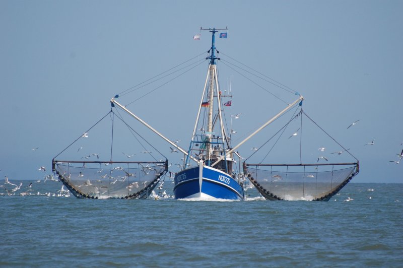 Рыболовное судно (Fishing Vessel)