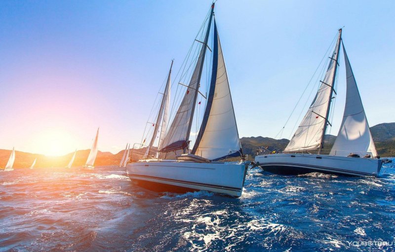 Яхта регата