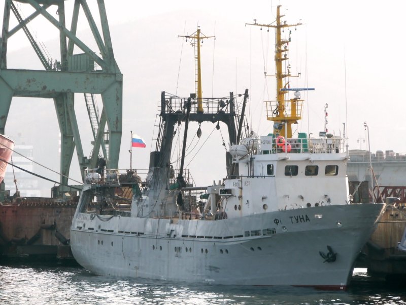 Лаукува проект 12961