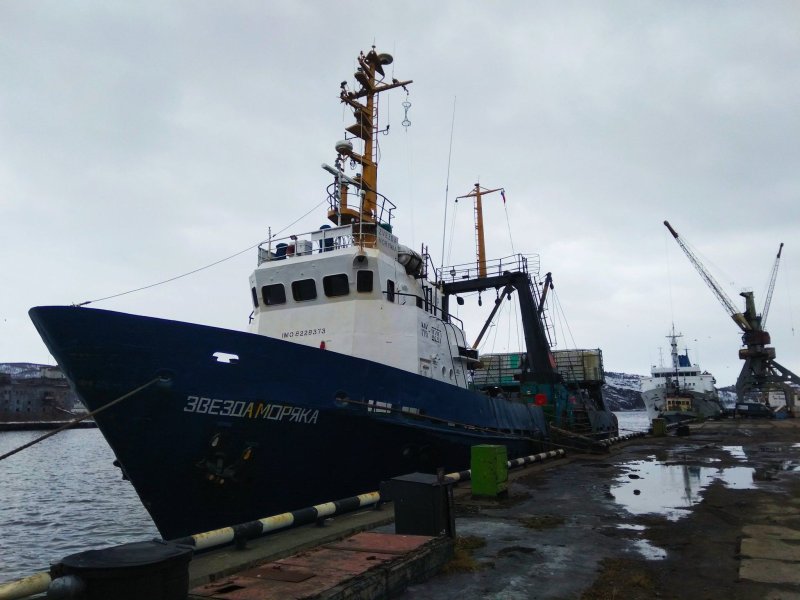Гнупур судно Мурманск