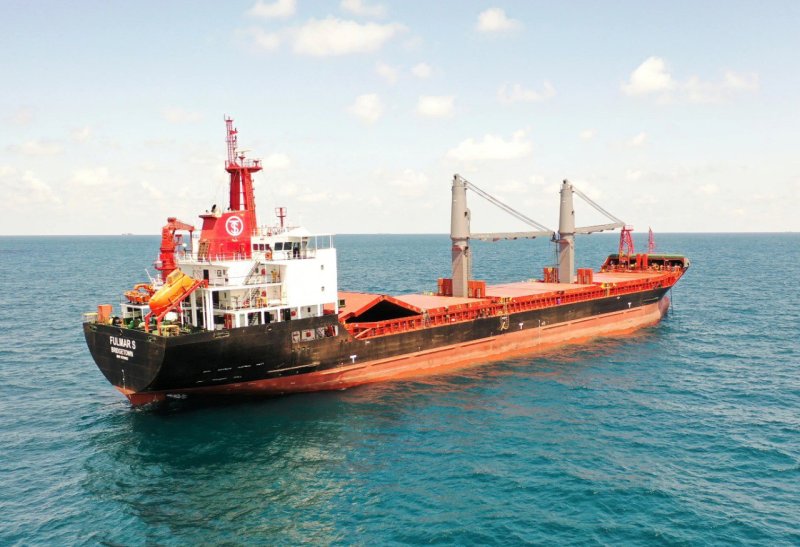 Сухогрузы Украина море