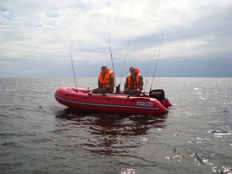 Гидра Волгоград