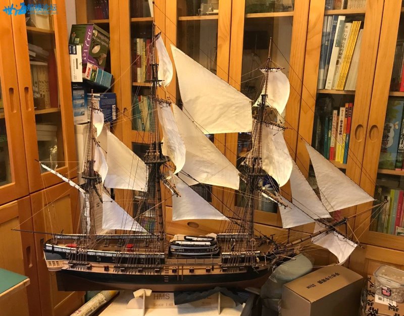 HMS сюрприз
