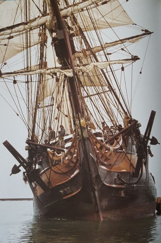 HMS сюрприз