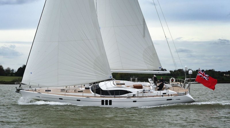 Oyster 625 images