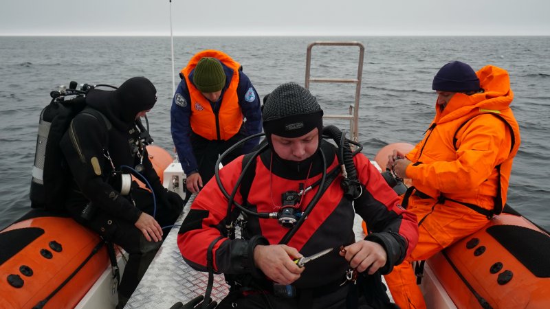 Водолаз исследователь