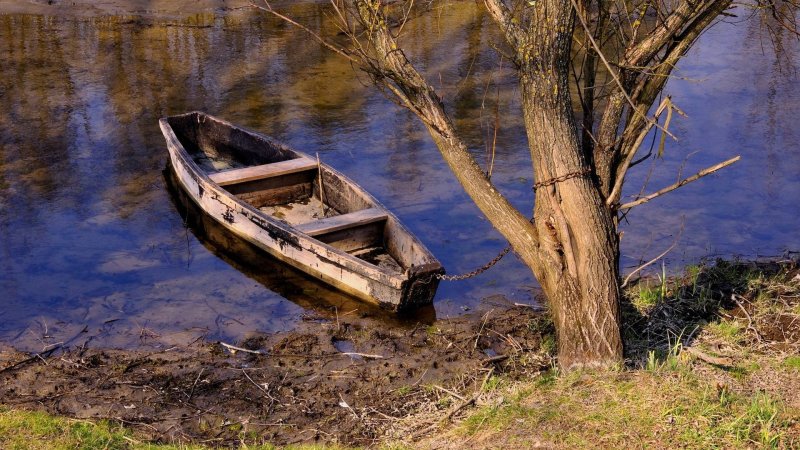 Деревянная ложка в реке