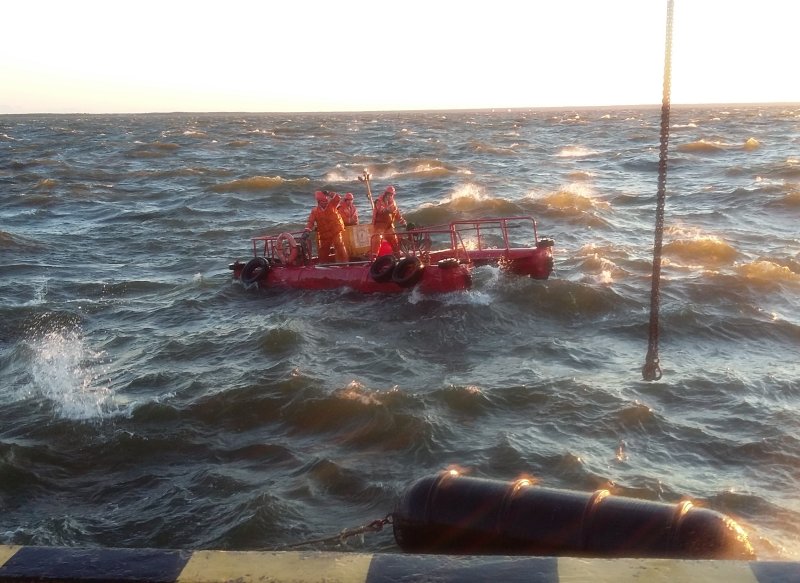 Ларн на море