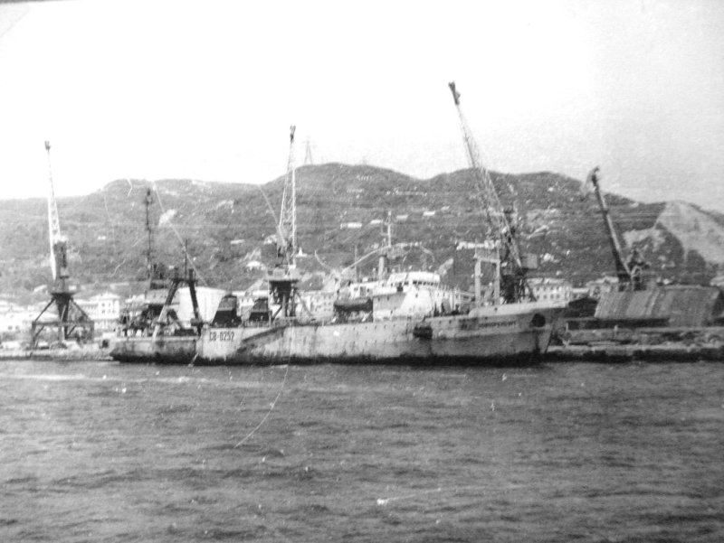 База тралового флота г Невельск 2020