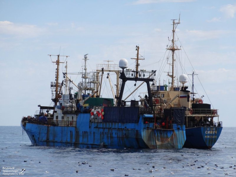 Рефрижератор типа "Охотское море"