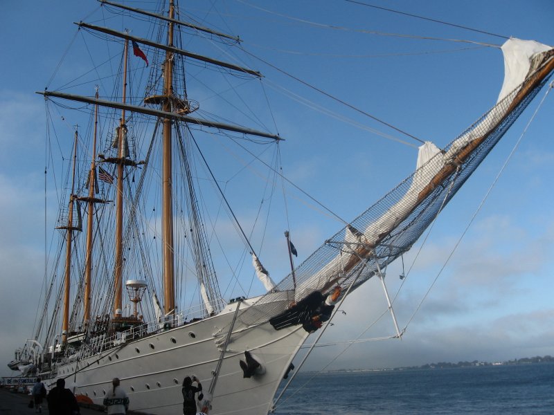 Парусник Эсмеральда чилийский