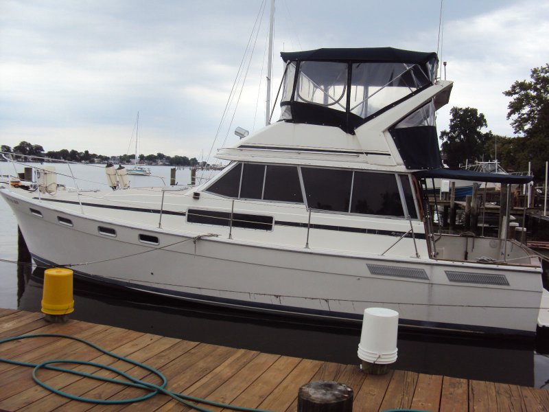 Bayliner с флайбриджем