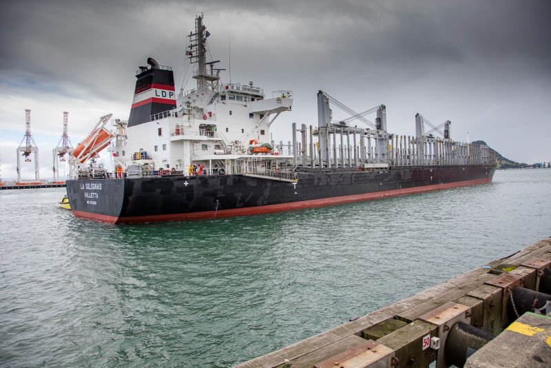 Bulk Carrier 8000