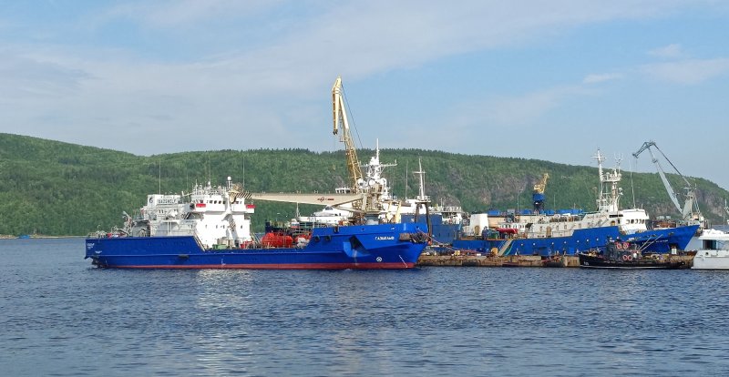 Судно дальние Зеленцы Мурманск