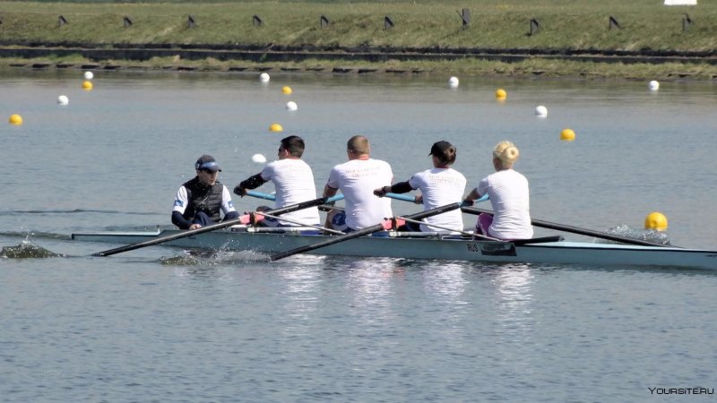 Рулевой Академическая гребля 4+