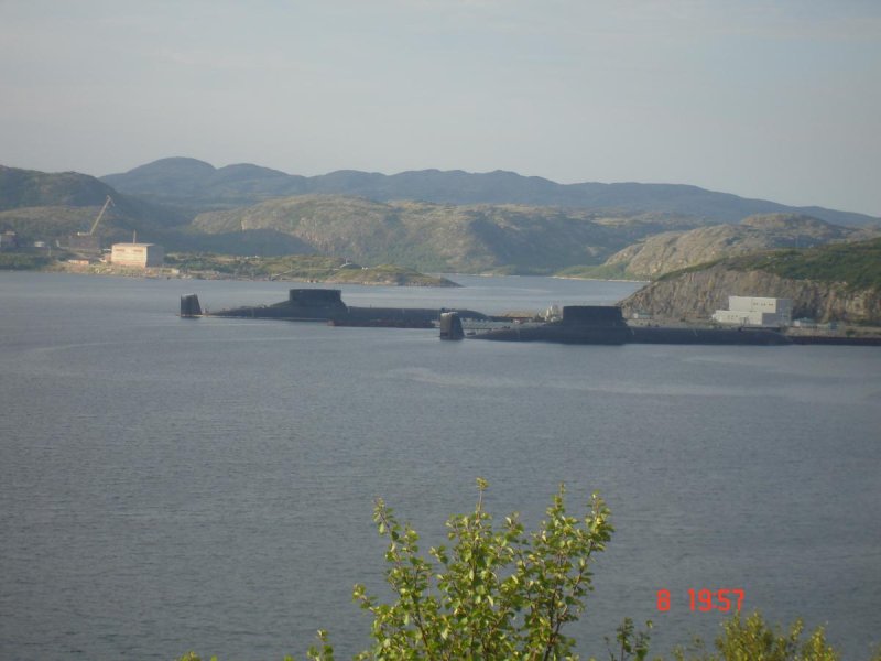 Губа Нерпичья Мурманской области