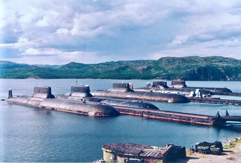Губа Нерпичья Западная лица