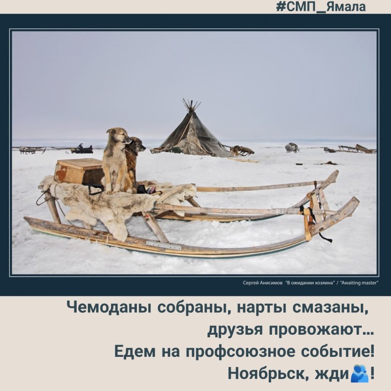 Сергей Анисимов Ямал