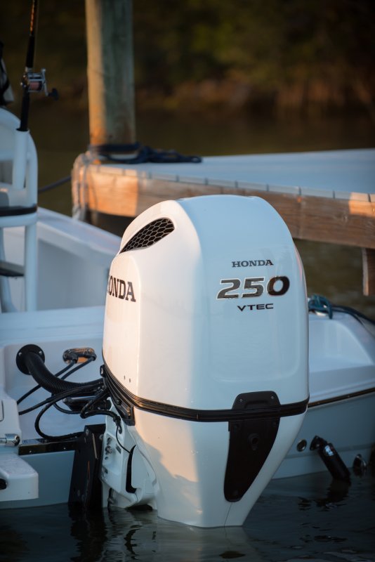 Honda Marine 250