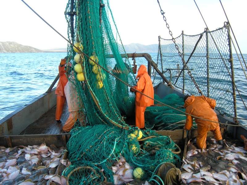 Морское рыболовство
