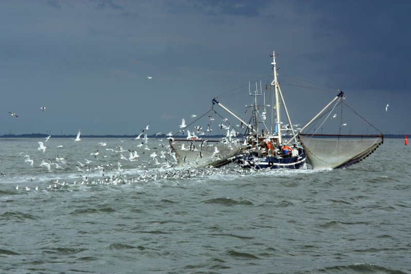 Рыболовные суда в море