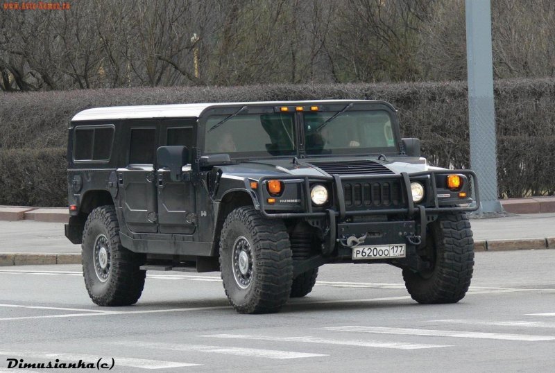 Hammer 799