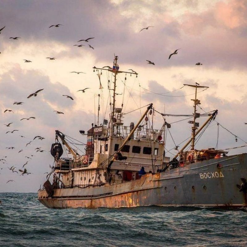 Судно белое море траулер