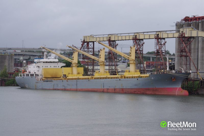 Lynx Bulk Carrier