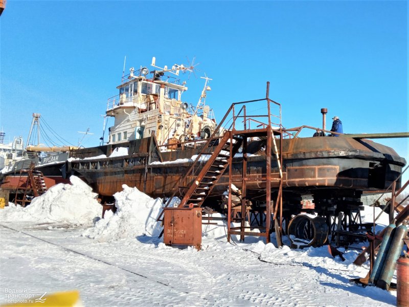 Морские и речные толкачи