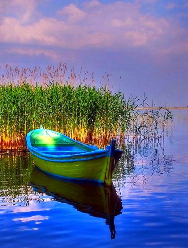 Лодка на воде