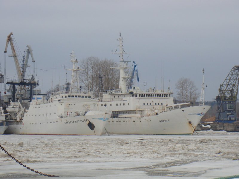 Николай Матусевич