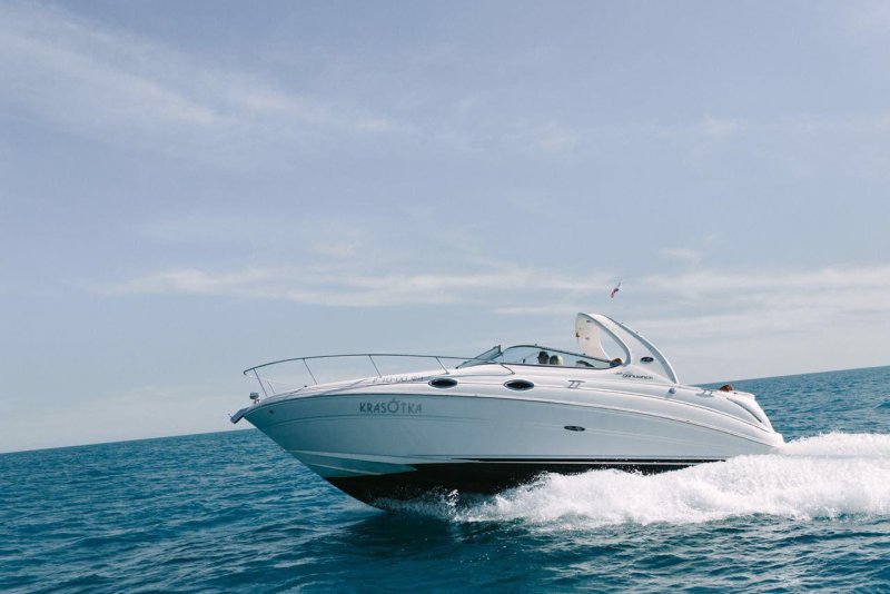 Sea ray 315 Sundancer 2016 г