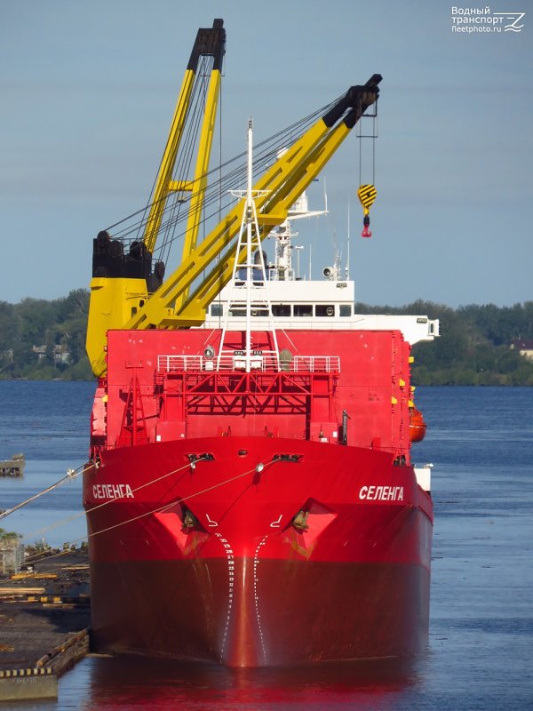 Судно Селенга IMO: 8714657