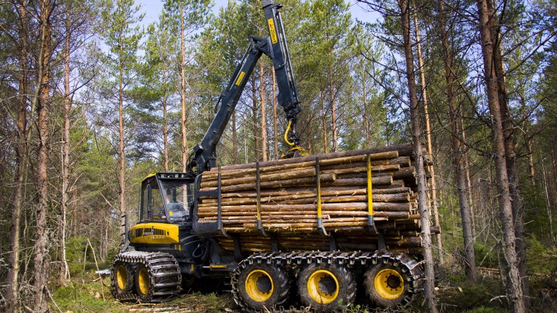 Форвардер Ponsse Buffalo 8w