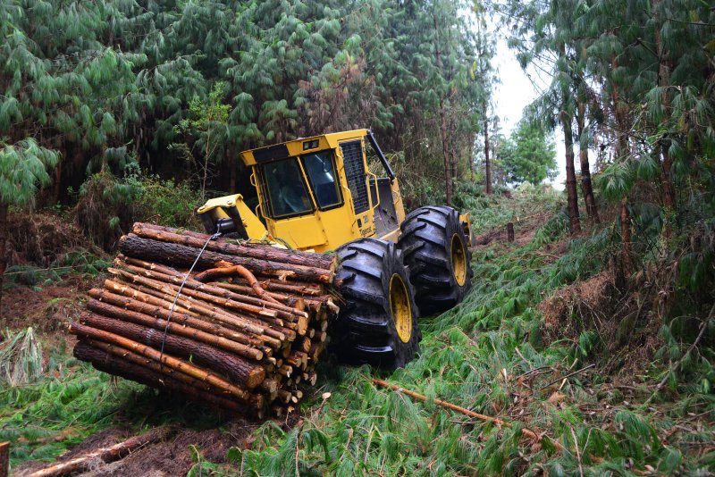 Tigercat 604е
