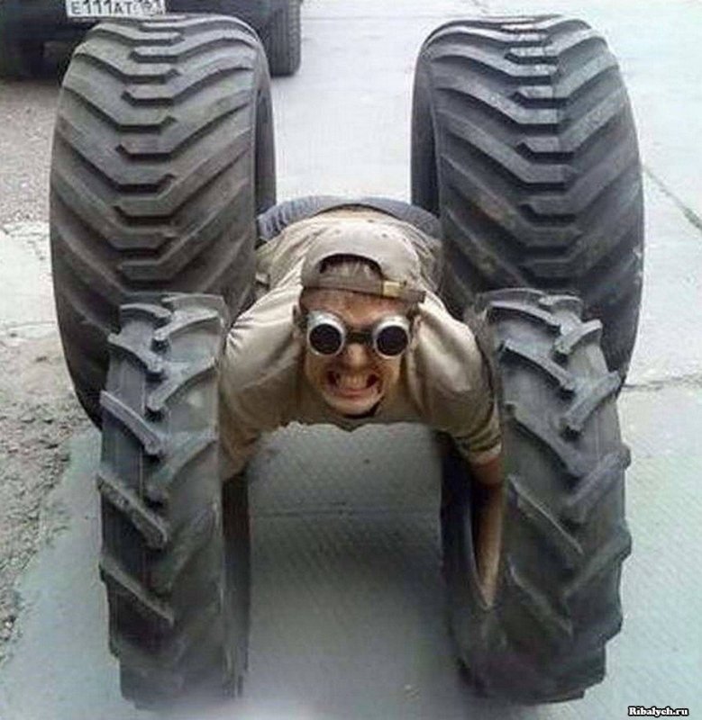 Шины смешные