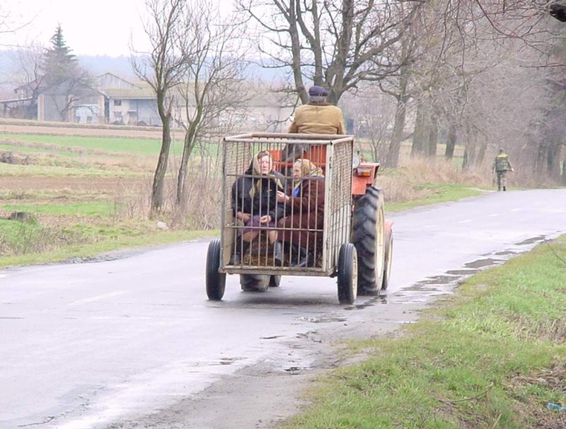 Телега смешная