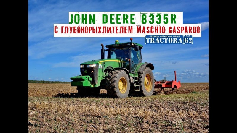 Дир Полли