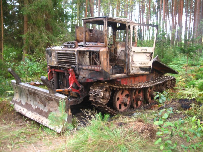 ТДТ 55 В лесу